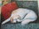 Duerme como un tigre (ilustra Pamela Zagarenski - 2 veces medalla Caldecott)