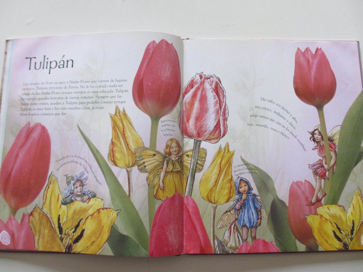 Mi Jardin de Las Hadas Flores. 1ª Edición
