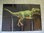 Atlas visual de los dinosaurios. Espectacular póster en el interior DESCATALOGADO