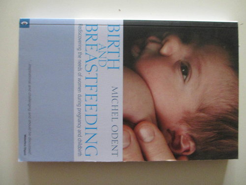 Birth and Breastfeeding : Rediscovering the Needs of Women During Pregnancy and Childbirth