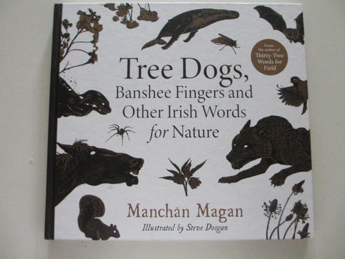 Tree Dogs, Banshee Fingers and Other Irish Words for Nature (28x31)